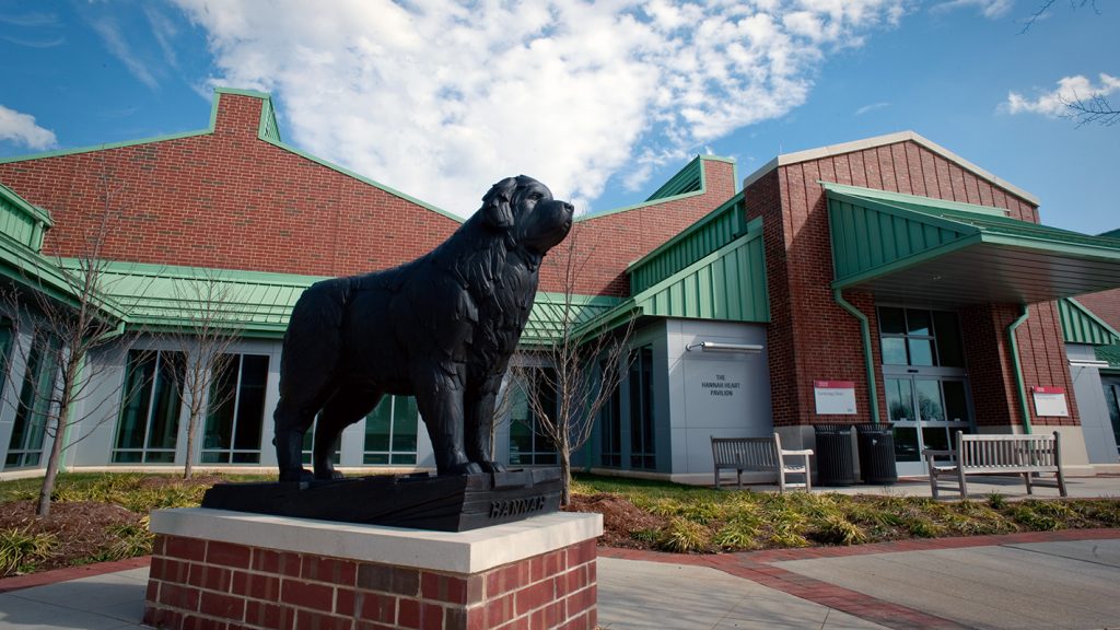 An exterior shot of the Randall B. Terry, Jr. Companion Animal Veterinary Medicine Center at NC State.