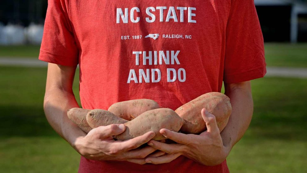 a person holds sweet potatoes while wearing an NC State think and do shirt