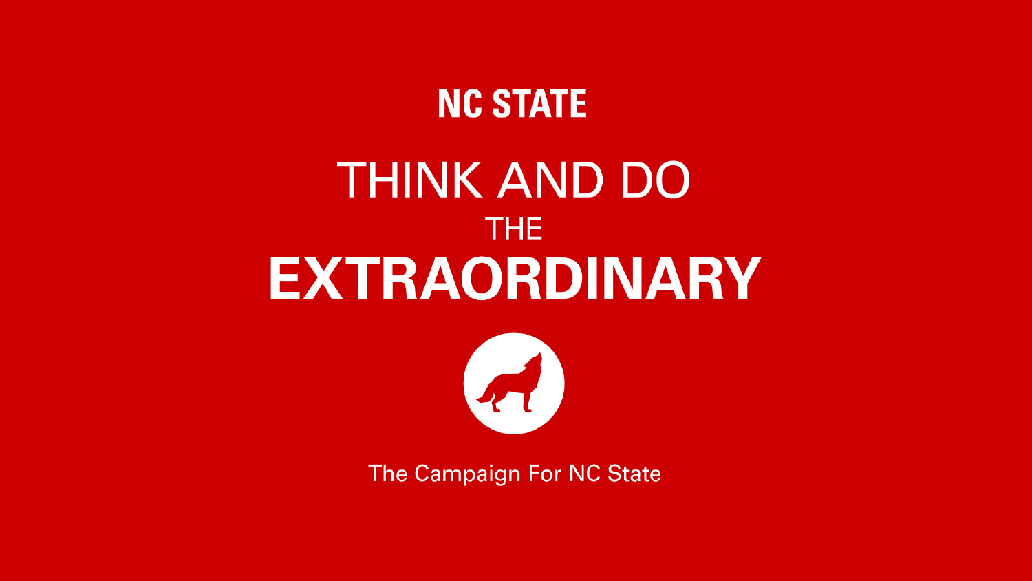 Think and Do the Extraordinary Campaign banner