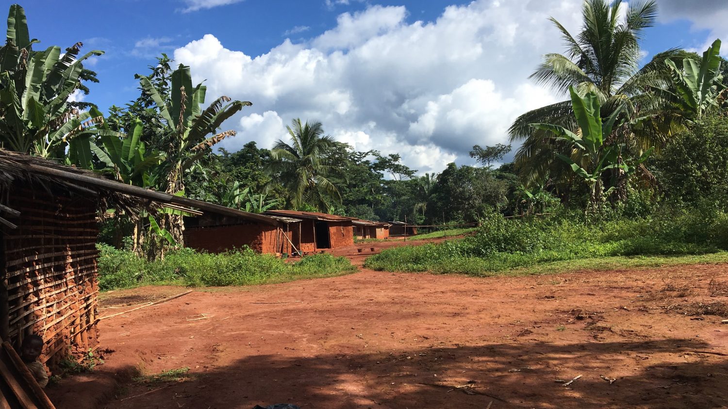 village in Cameroon