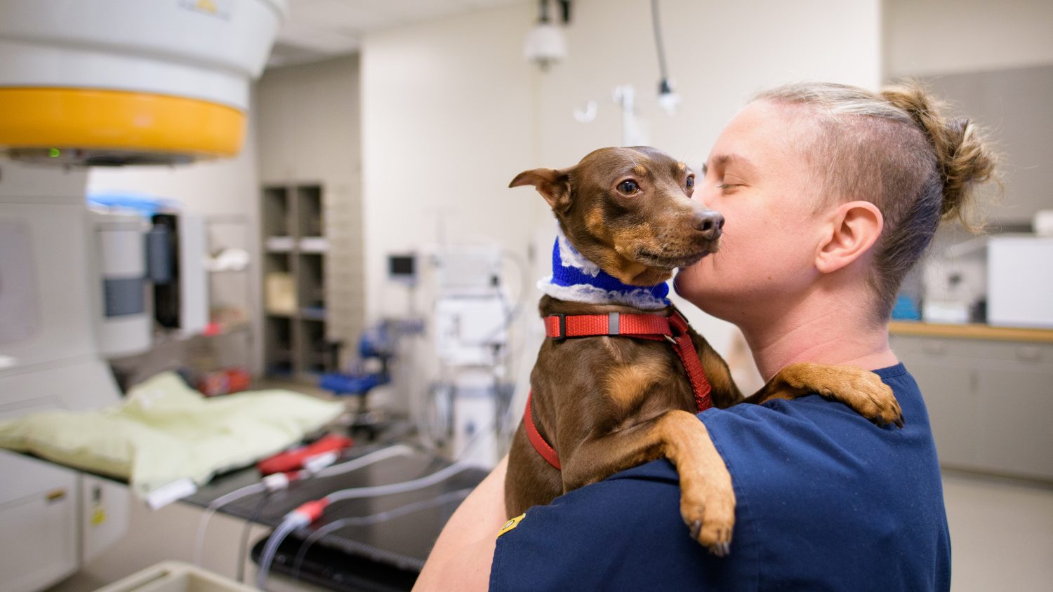 CVM staff comforts a small dog before treatment