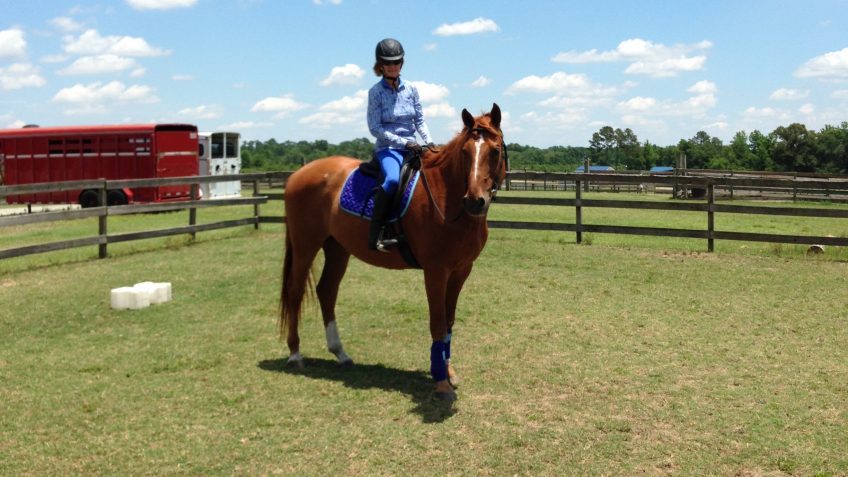 Pamela Johnson riding her horse Colby