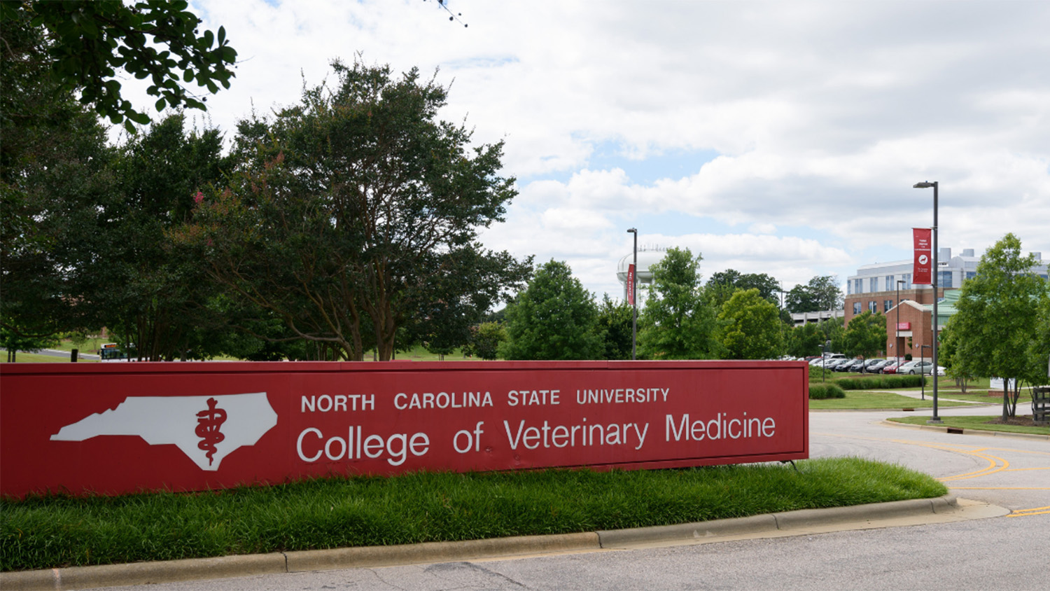 College of Veterinary Medicine sign