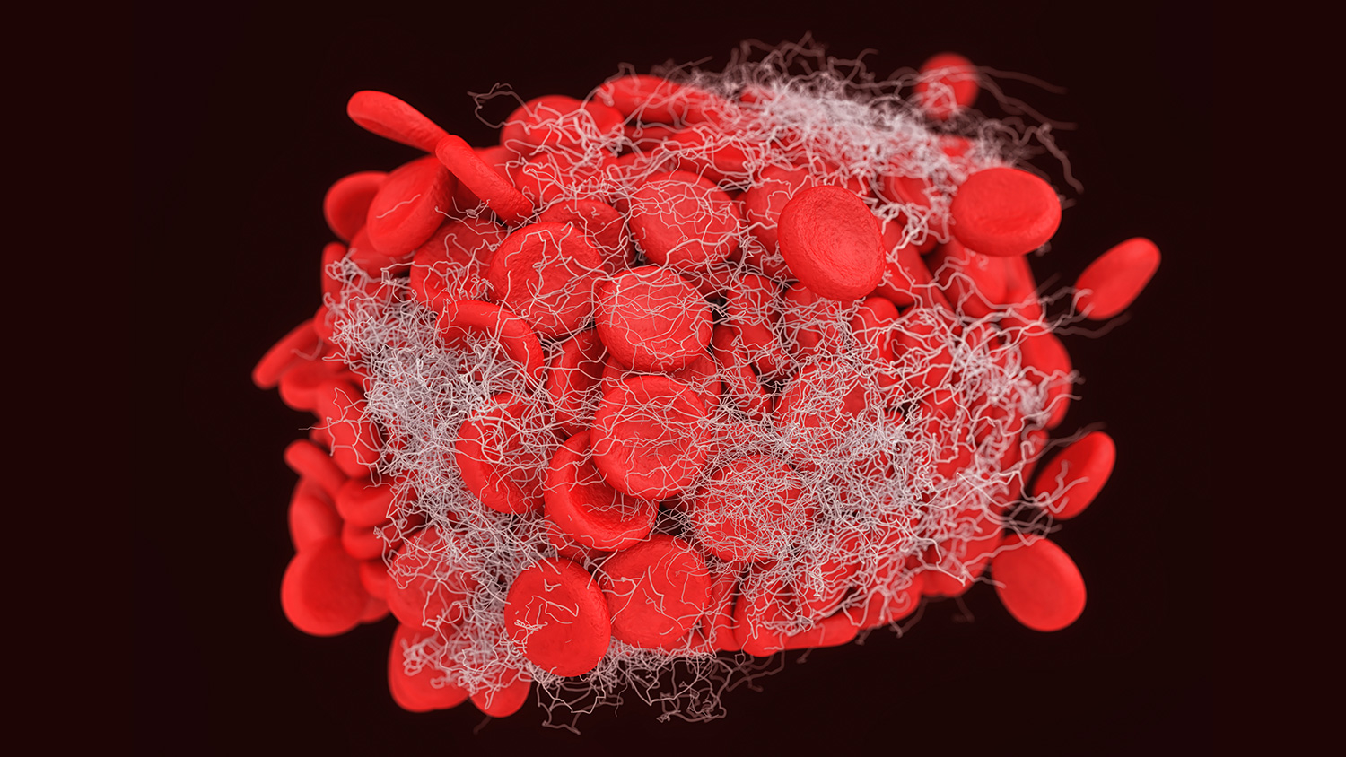 rendering of fibrin acting as a net around platelets