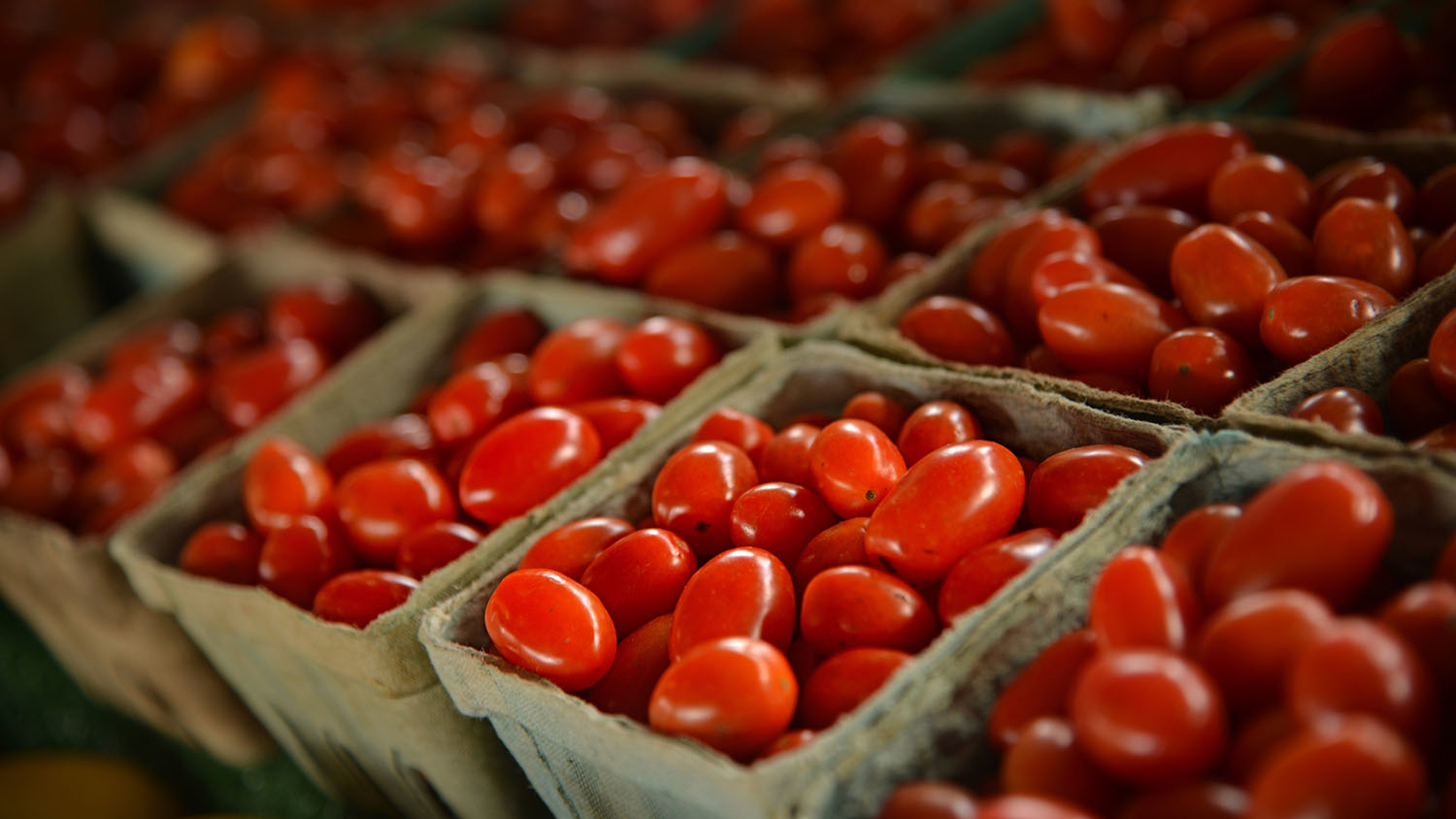 closeup of cherry tomatoes