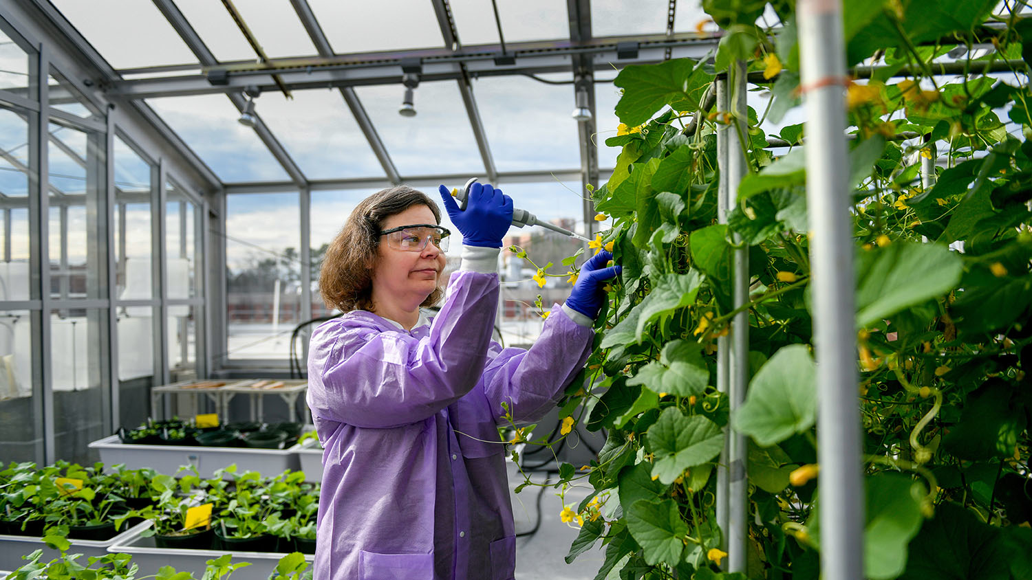 Kellie Burris working with plants in a greenhouse