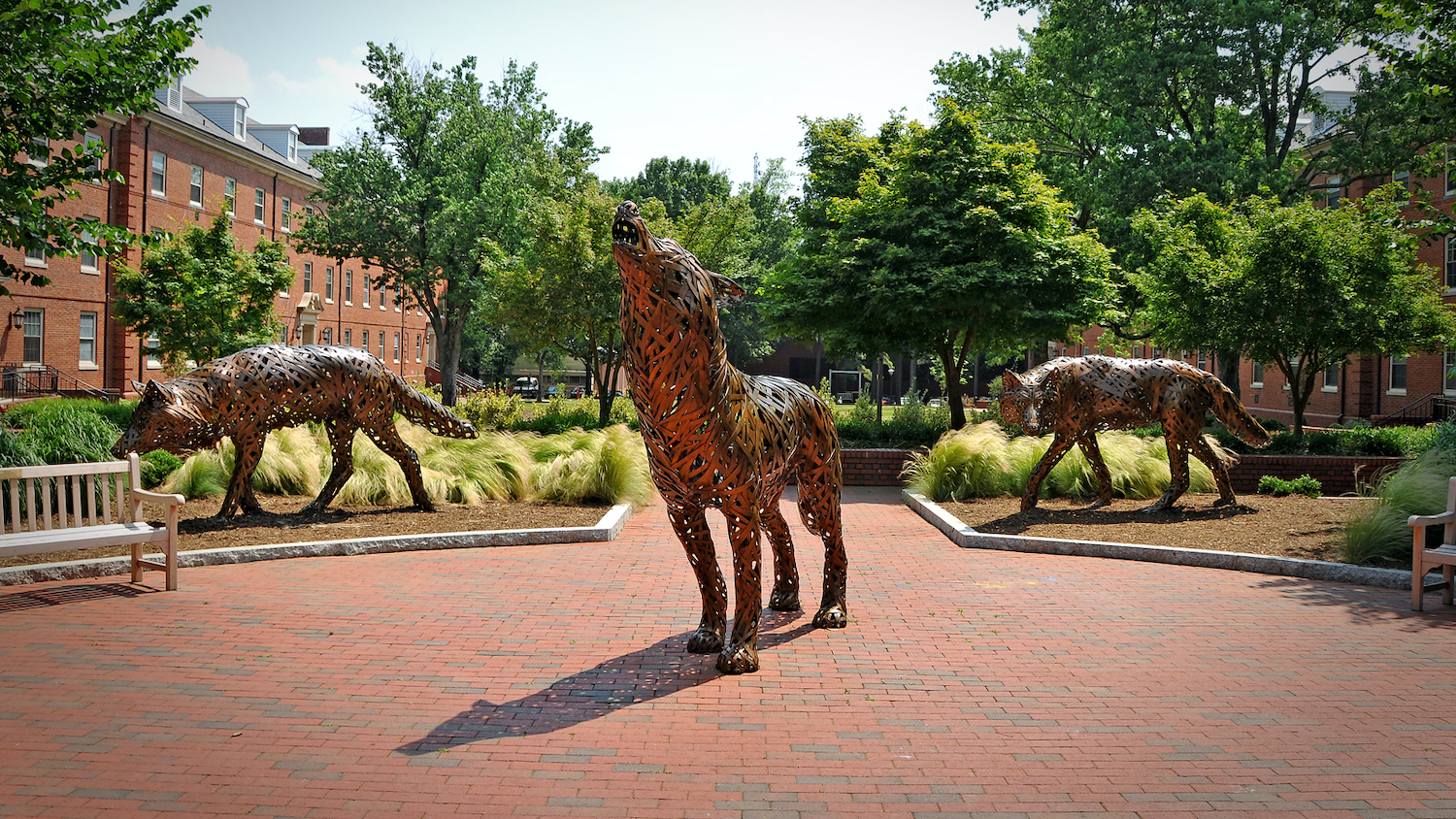 copper wolves on Wolf Plaza