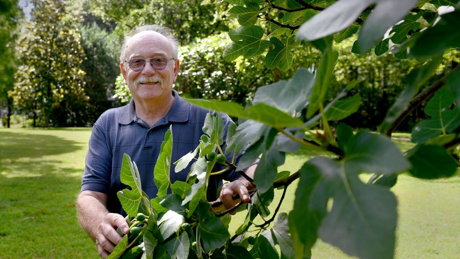 Mike Boyette posing among his fig trees