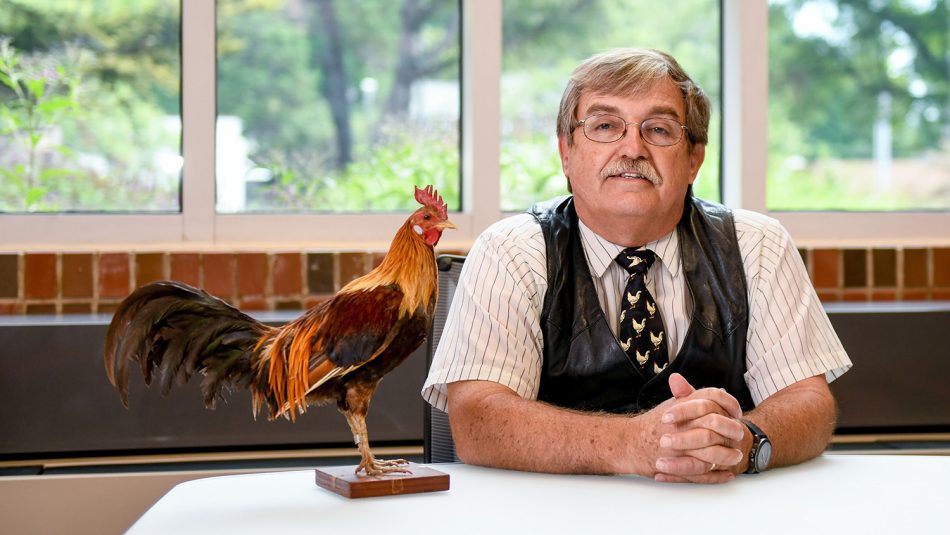Ken Anderson sitting at a desk with a statue of a chicken