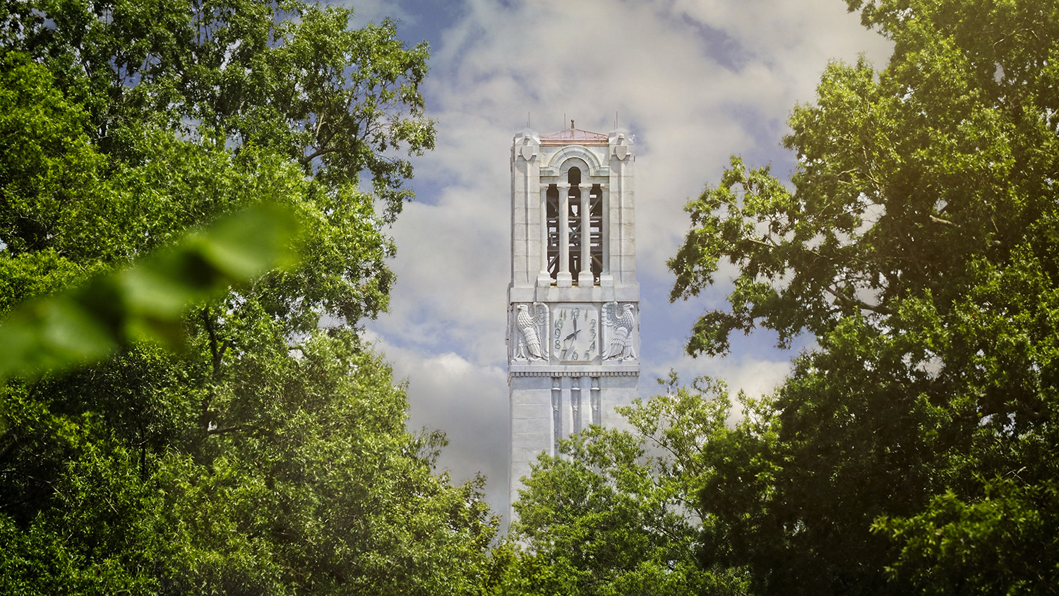 A view of the NC State belltower from the 1911 building. Photo by Marc Hall