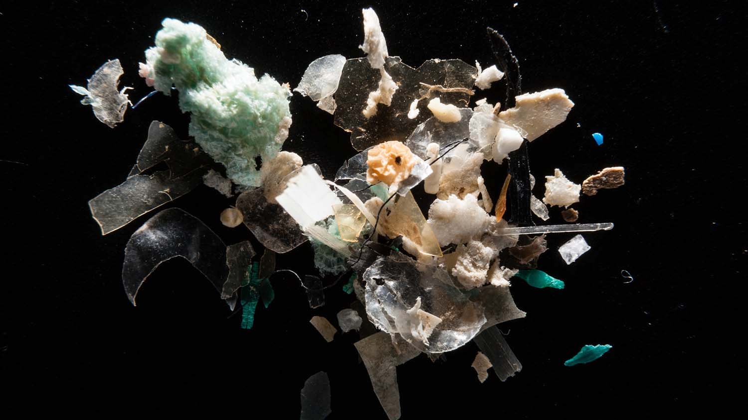 A collection of microplastics