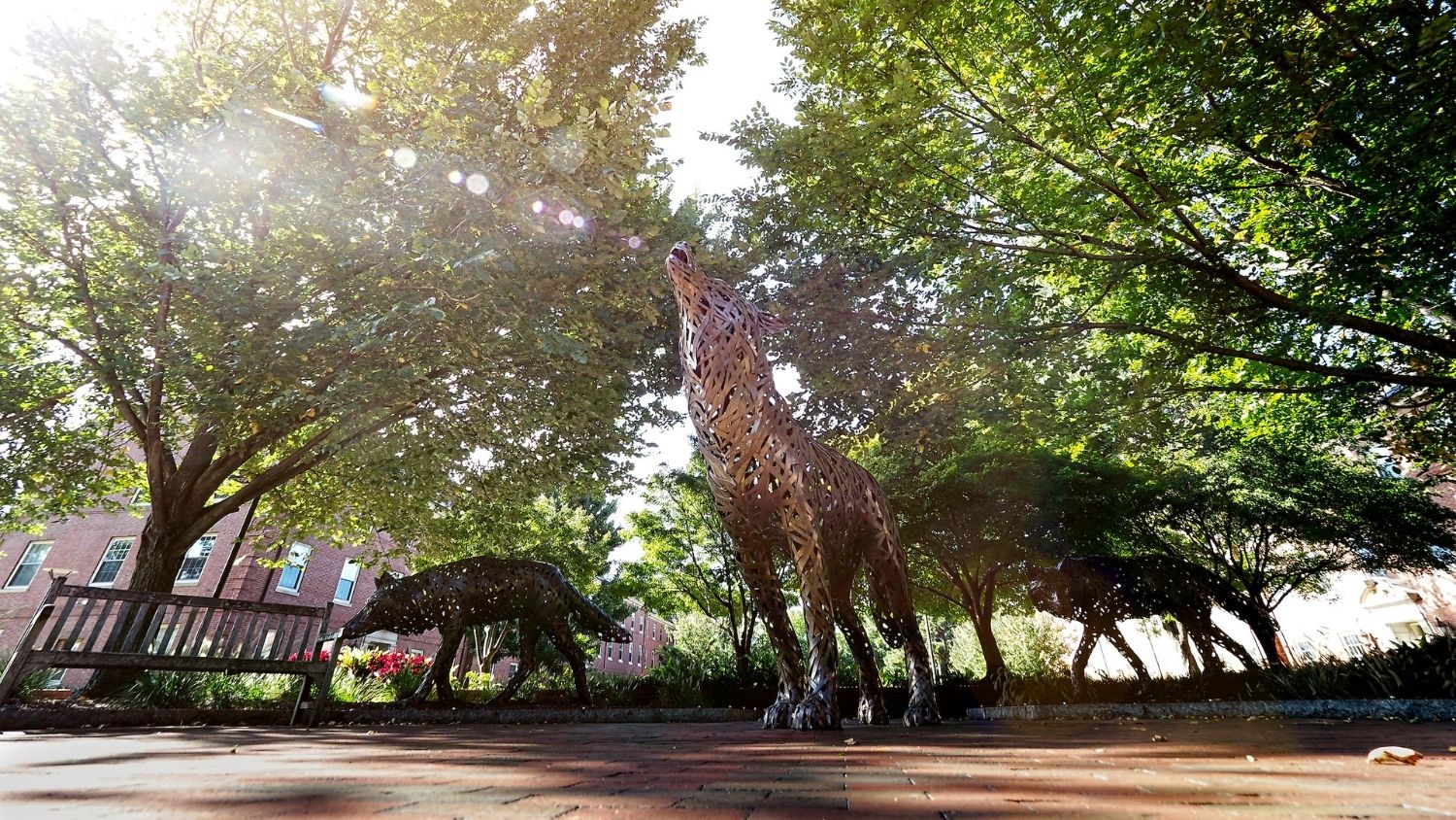 Wolf Plaza copper wolf statues