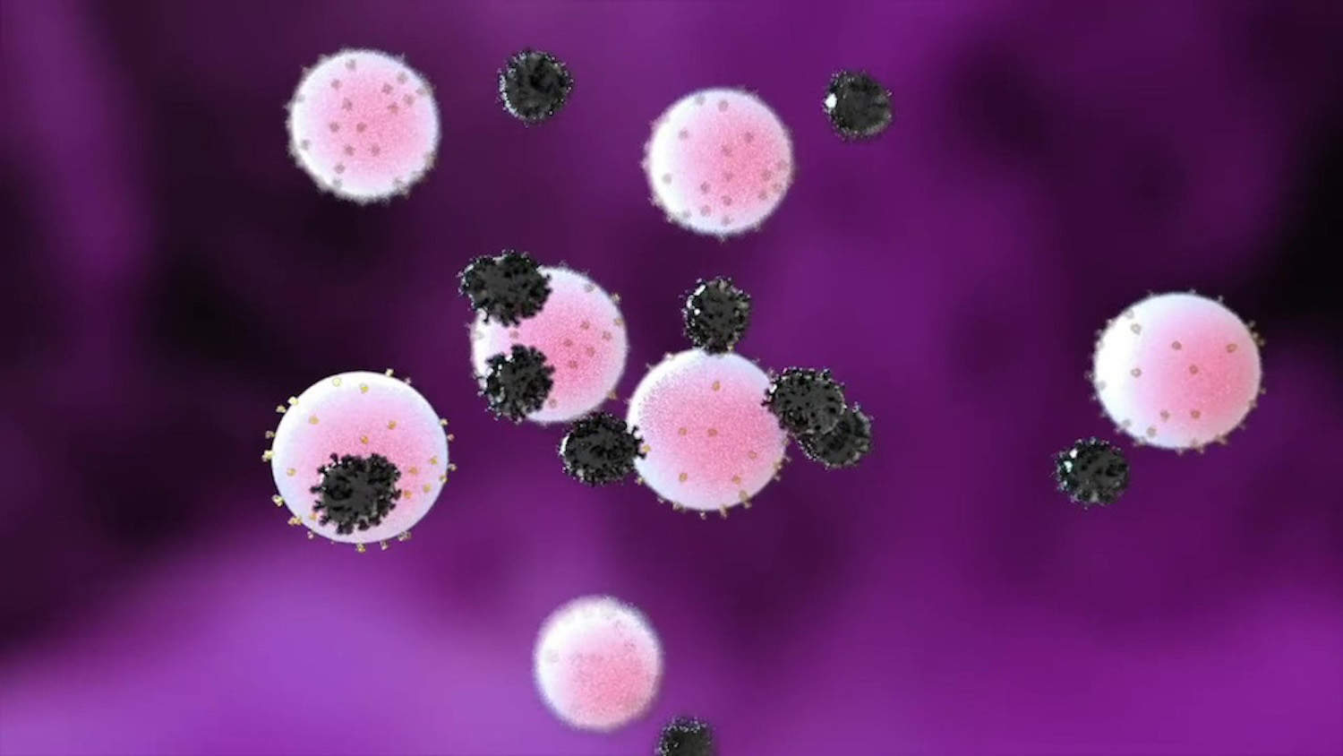 Nanodecoys bind with SARS-CoV-2 virus.