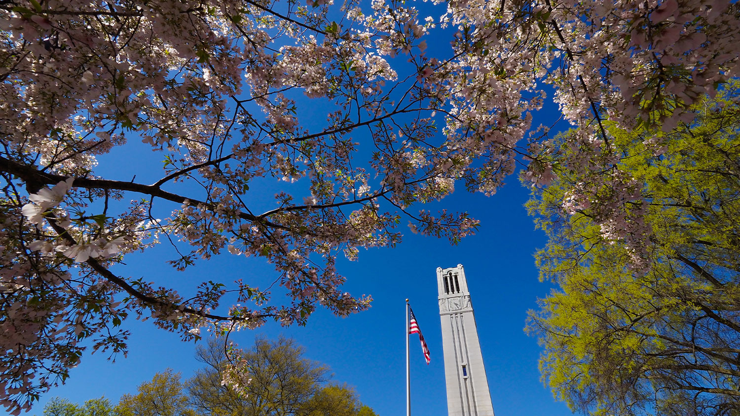 The Memorial Belltower in spring