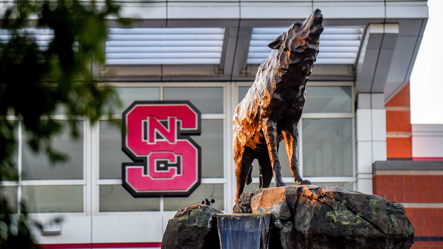 The wolf statue in front of Carter-Finley