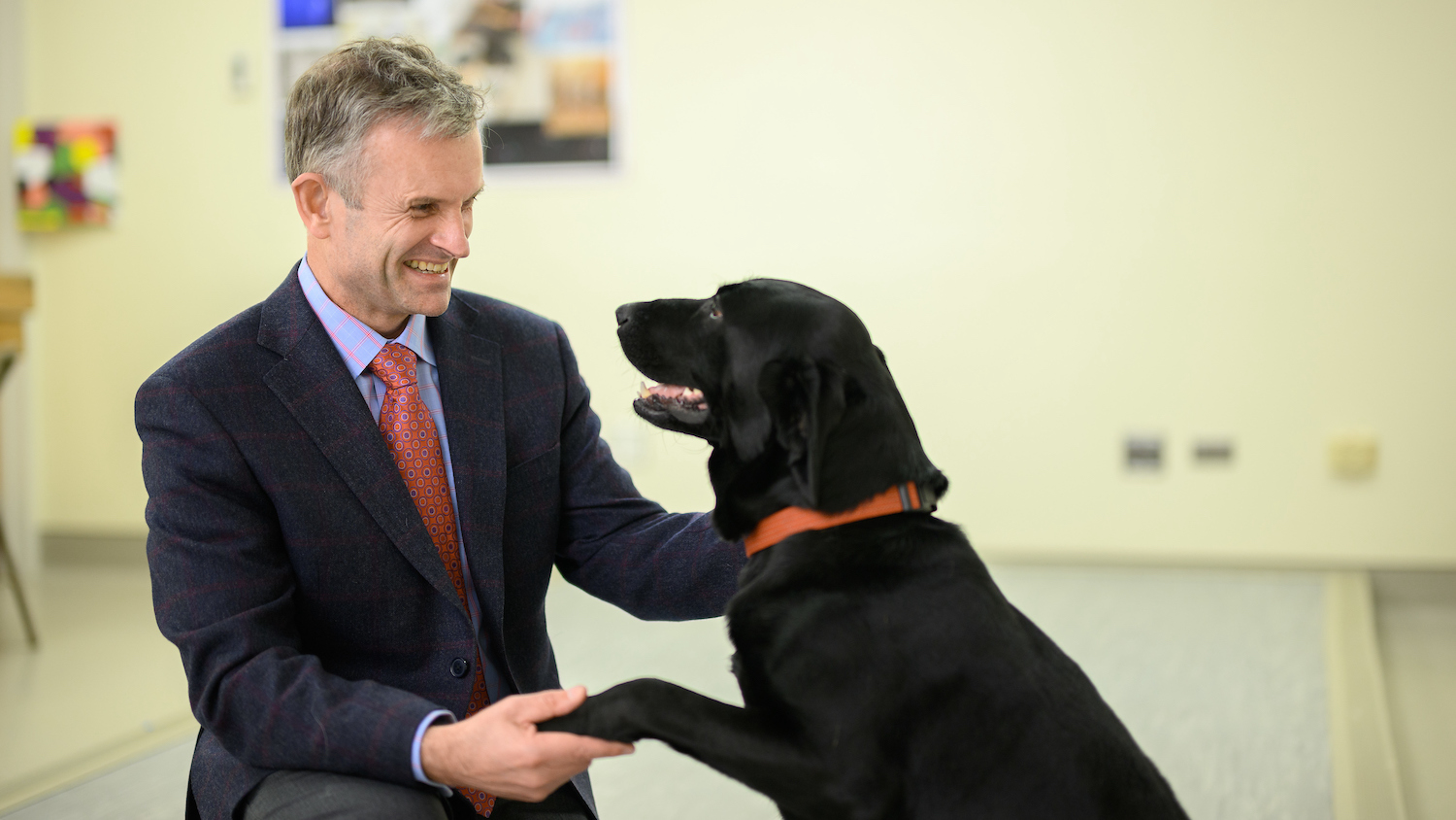 Duncan Lascelles shaking "hands" with a dog