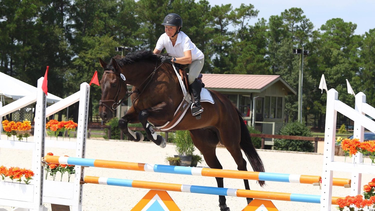 Horse and rider jumping a barrier