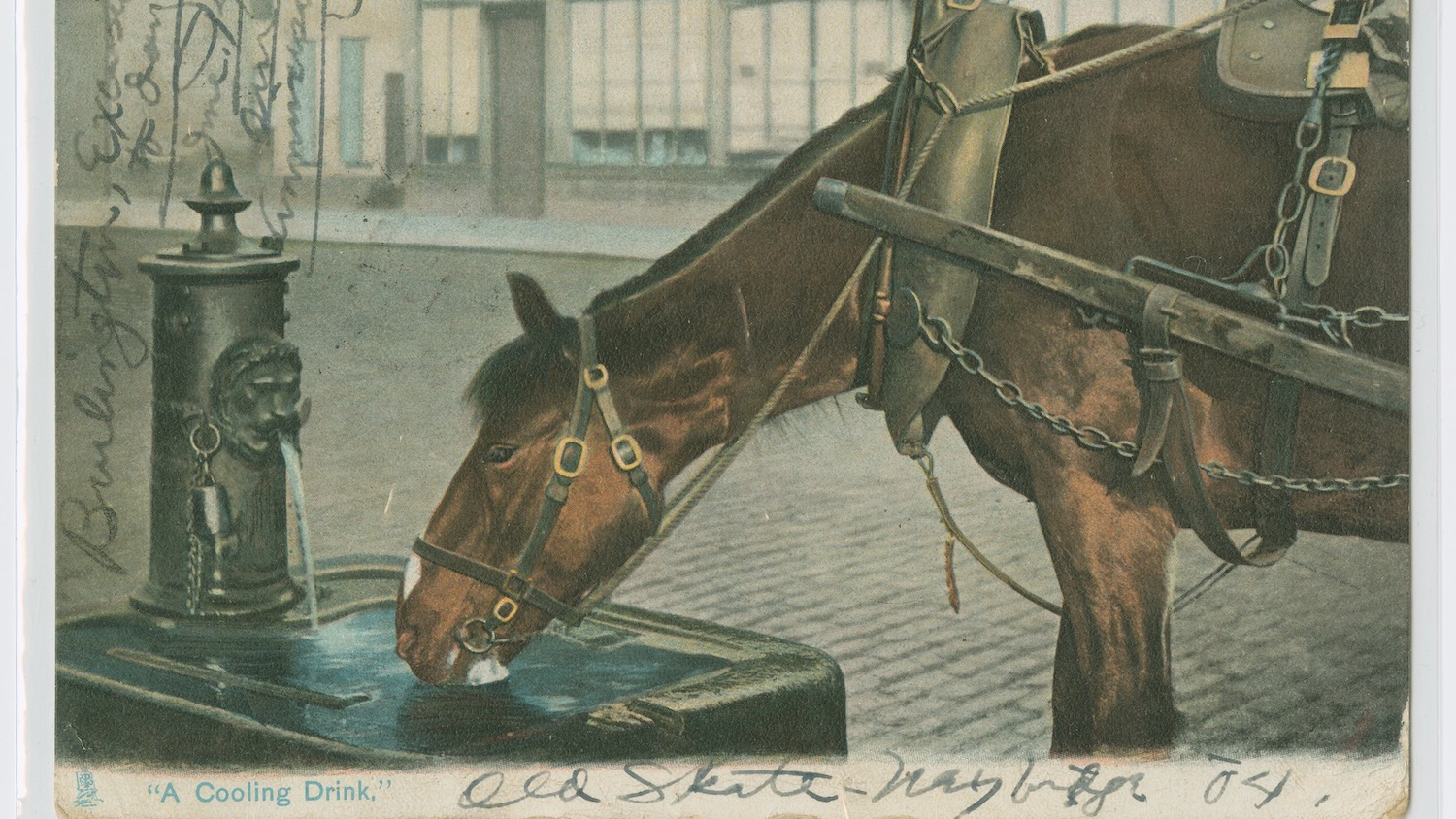 "A Cooling Drink" postcard