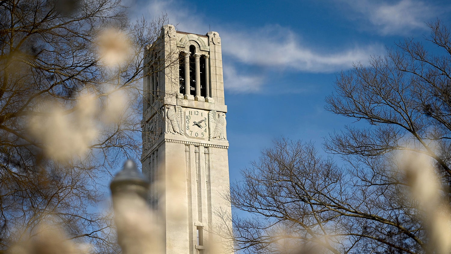 The Belltower, framed by early spring blooms in late February. Photo by Becky Kirkland.