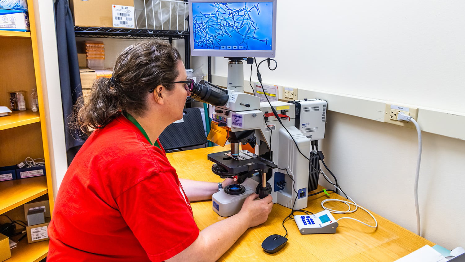 Senior research scholar Sarah O'Flaherty examines Lactobacillus acidophilus NCK2025 under a microscope to monitor the bacteria's physical attributes.