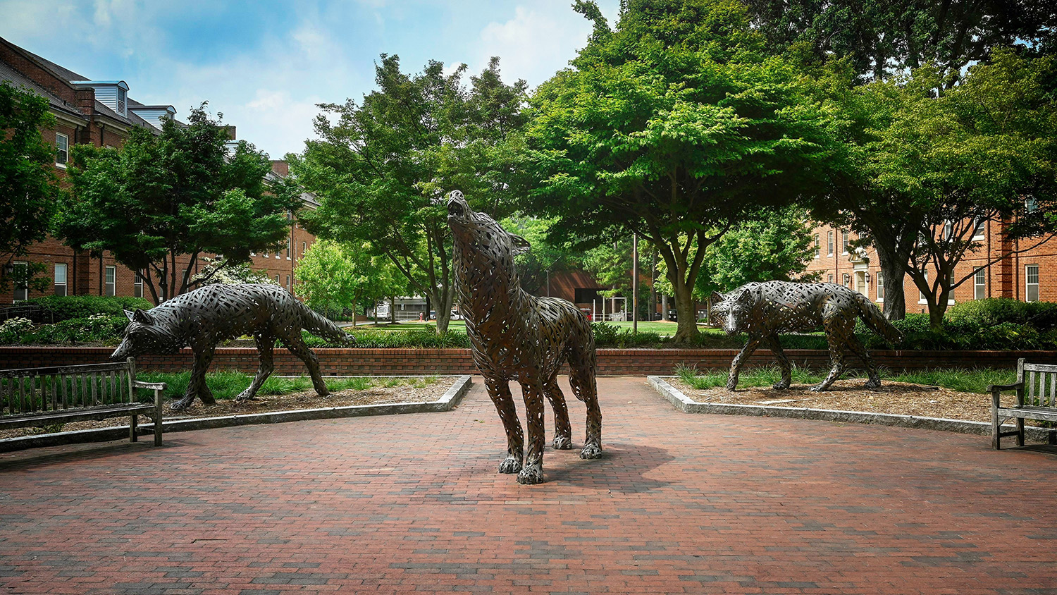 The copper wolves at Wolf Plaza near Talley on main campus. Photo by Marc Hall
