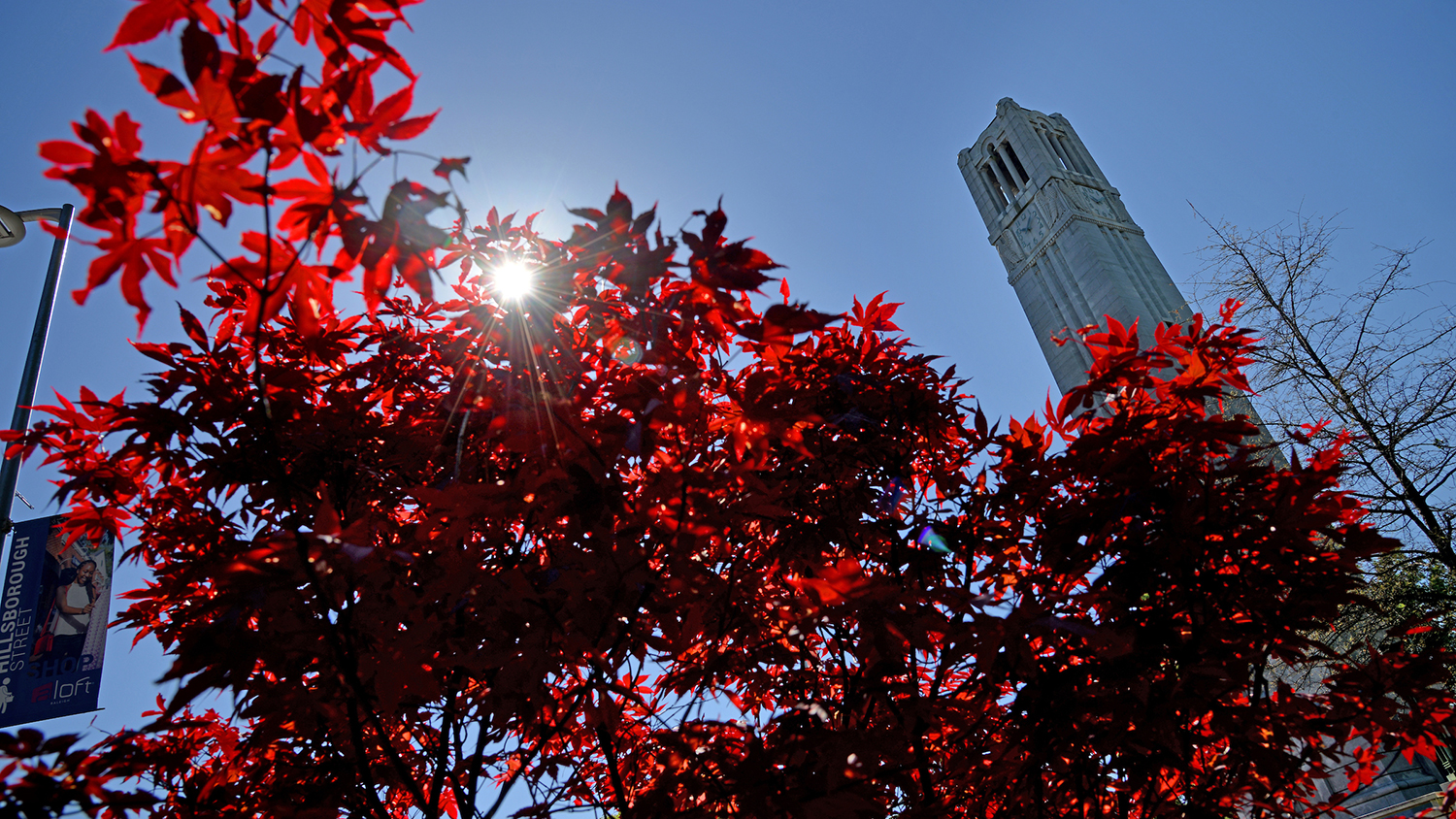 The Memorial Belltower behind red tree leaves