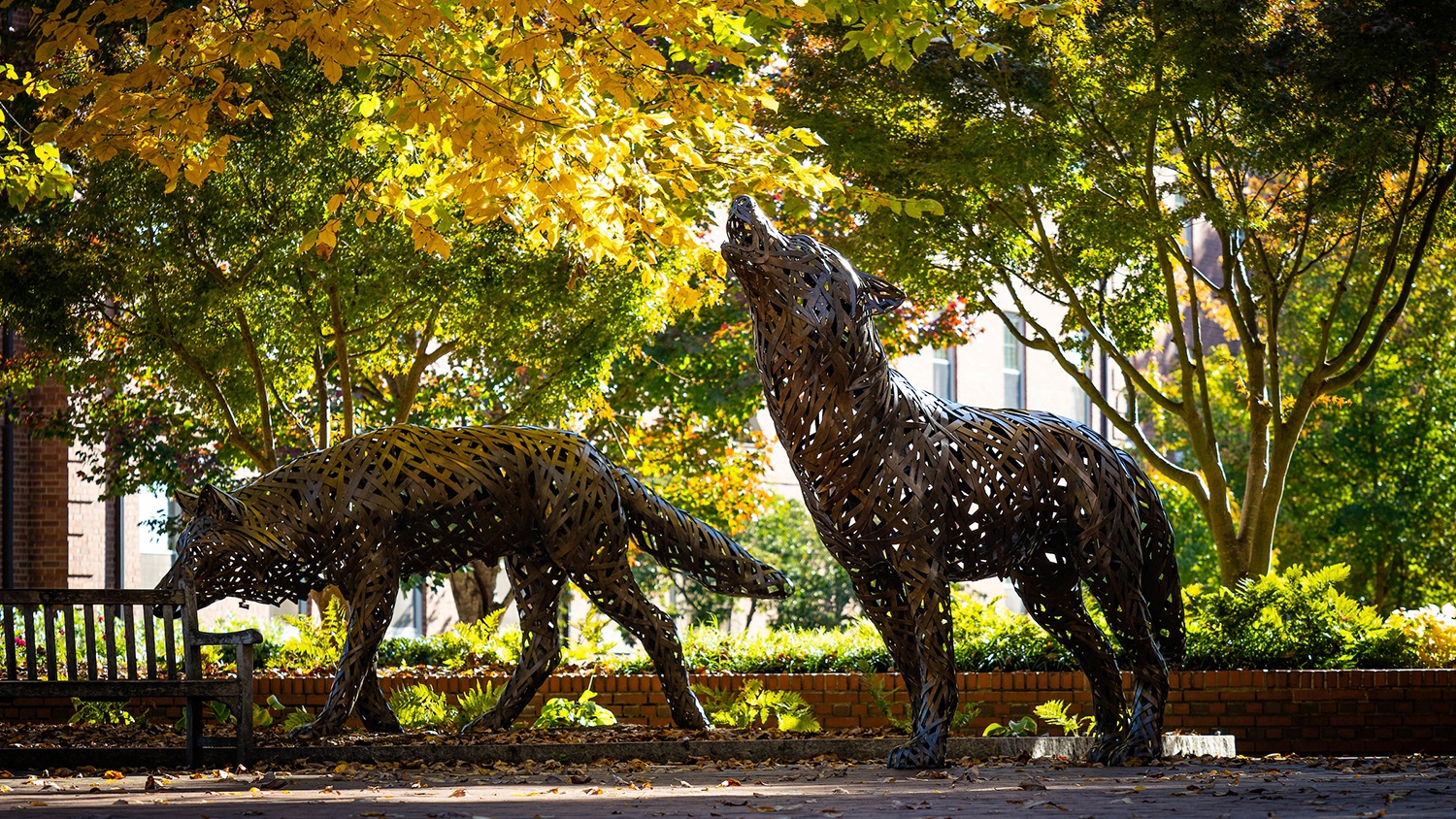 Wolf Plaza during fall. Photo by Marc Hall