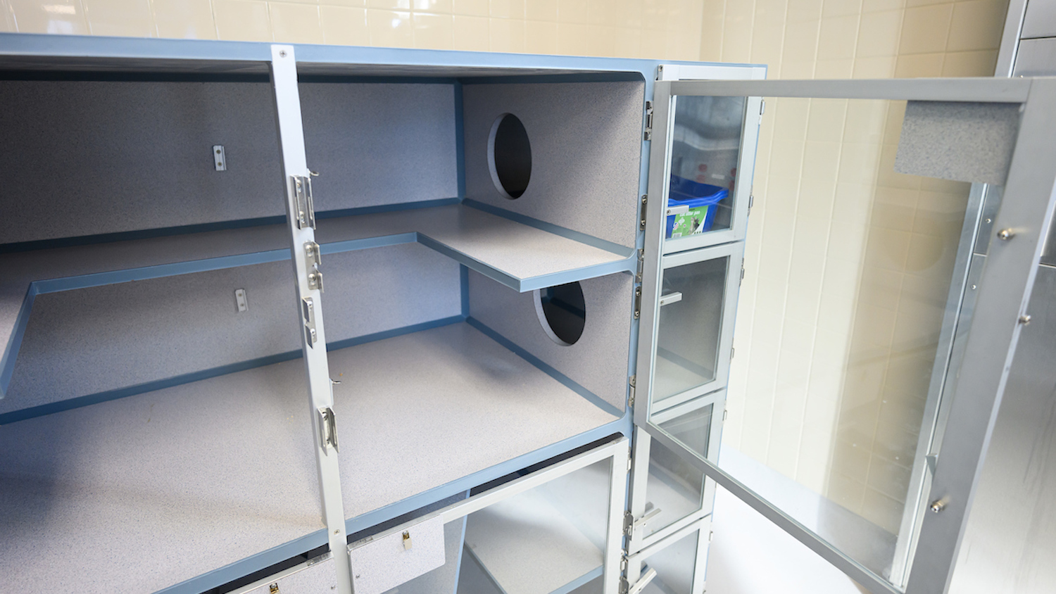 four blocks of cat condos that have been installed in the veterinary hospital’s ICU