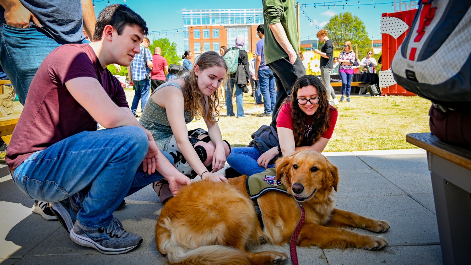 students petting a therapy dog on Centennial Campus