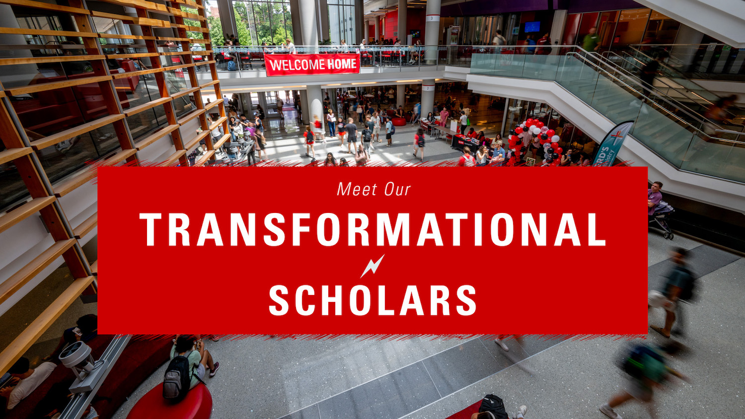 Transformational Scholars infographic