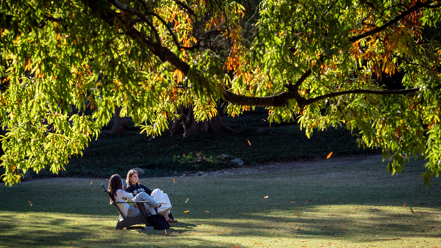 Two students sitting in chairs on the Court of North Carolina