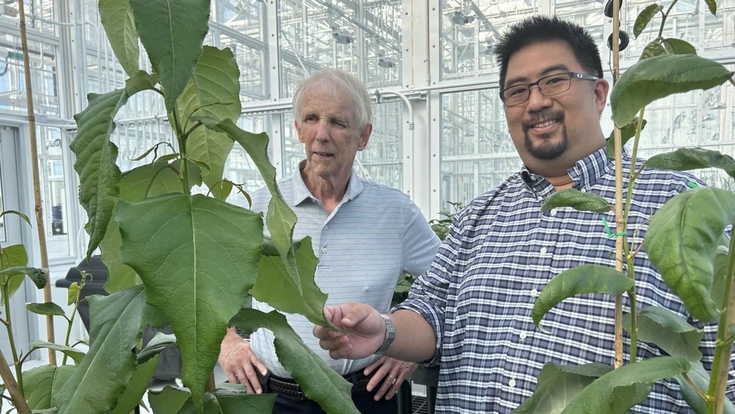 Robert Kelly, left, and Jack Wang in a greenhouse