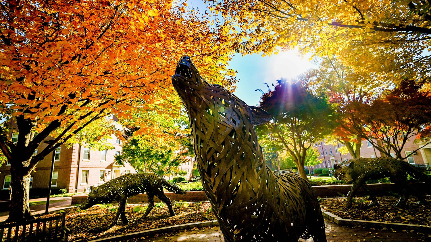 Wolf Plaza in the fall