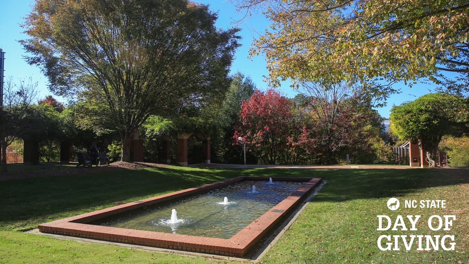 Day of Giving lockup in the corner of a photo of a water feature