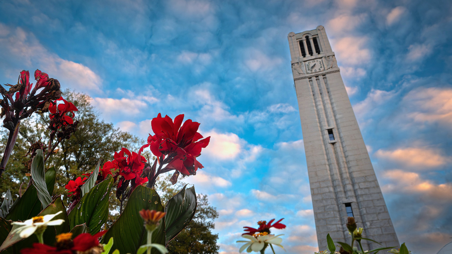 Red flowers in front of the Memorial Belltower