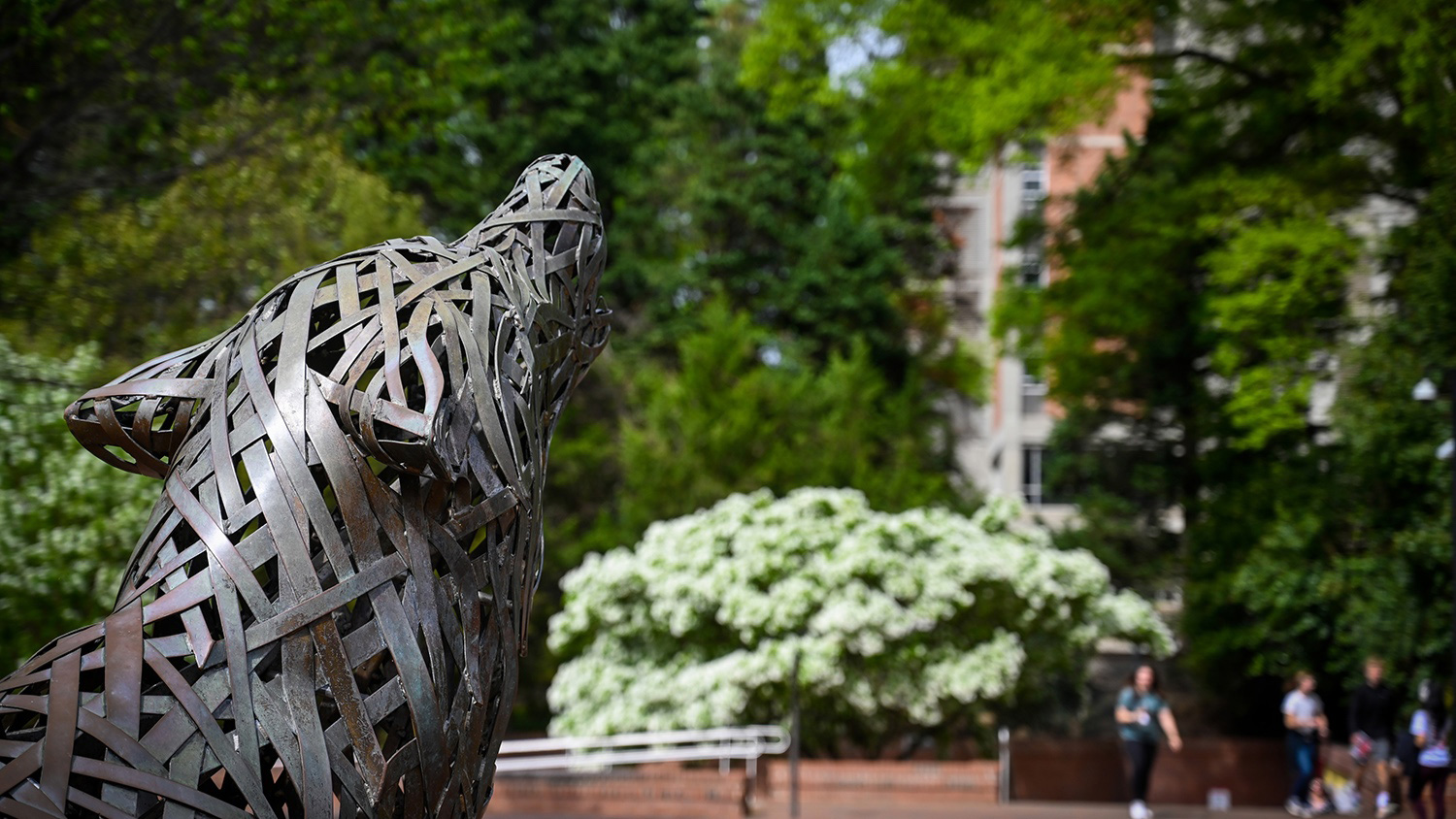 Wolf Plaza howling wolf statue, as seen from behind