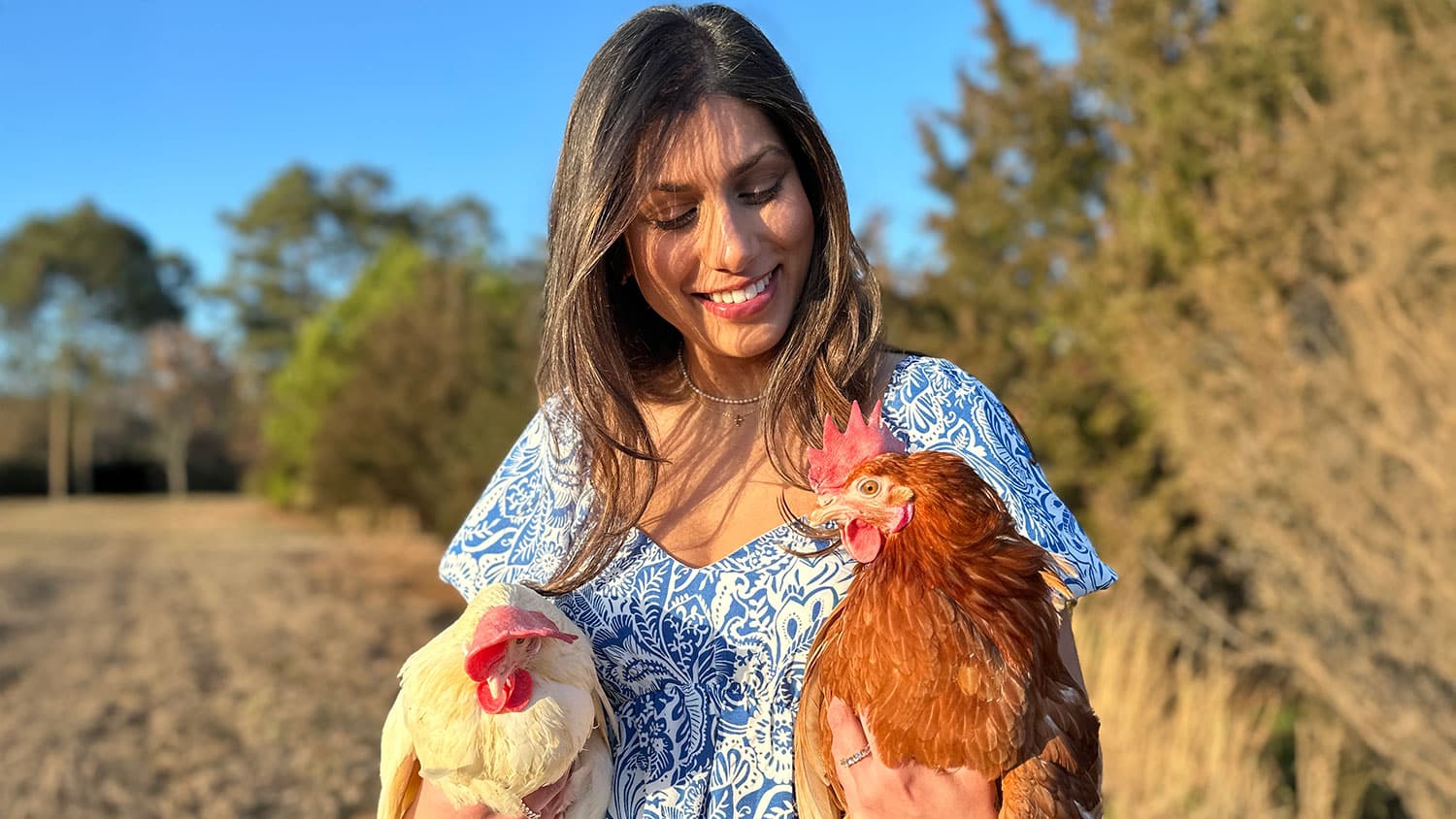Bhavisha Gulabrai with white and brown laying hens. Gulabrai did the research for her master’s degree in poultry science at NC State, where she previously earned a bachelor’s degree in animal science.