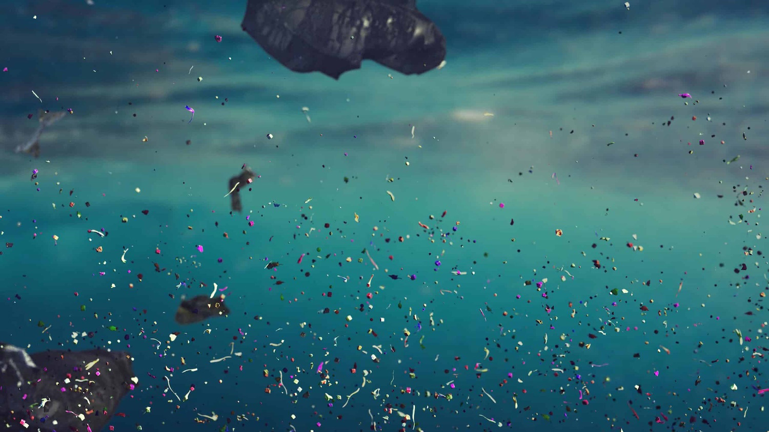 Microplastics in the ocean